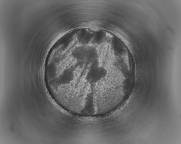 X0000112030949200908311213