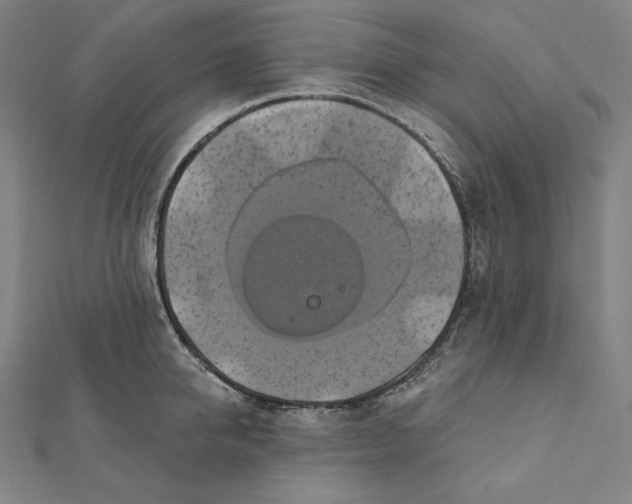 X0000112030950200908311213