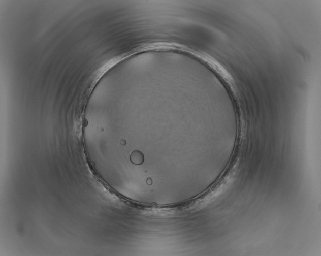 X0000112030953200908311213