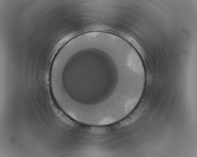 X0000112030954200908311213