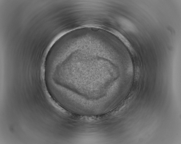 X0000112030955200908311213