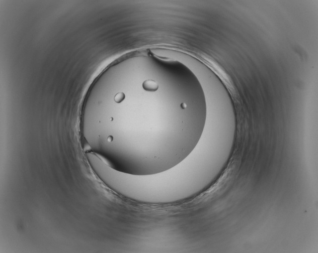 X0000112030956200908311213