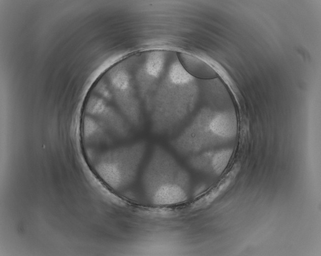 X0000112030957200908311213