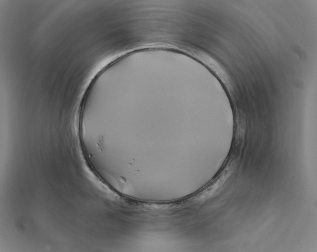 X0000112030958200908311213