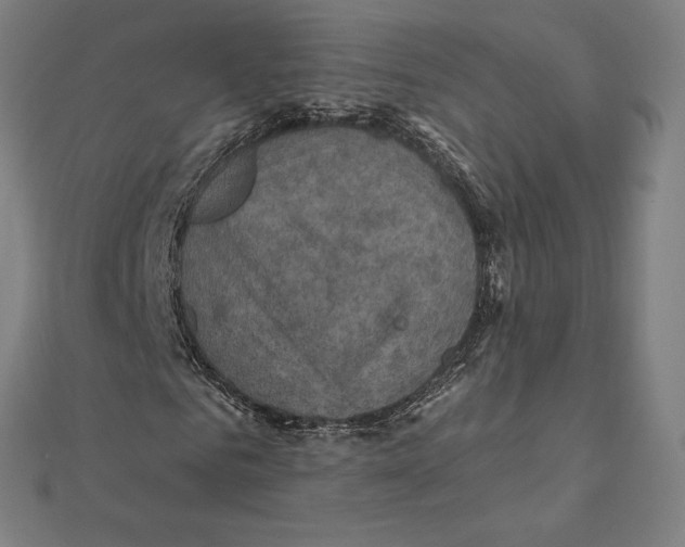 X0000112030961200908311212