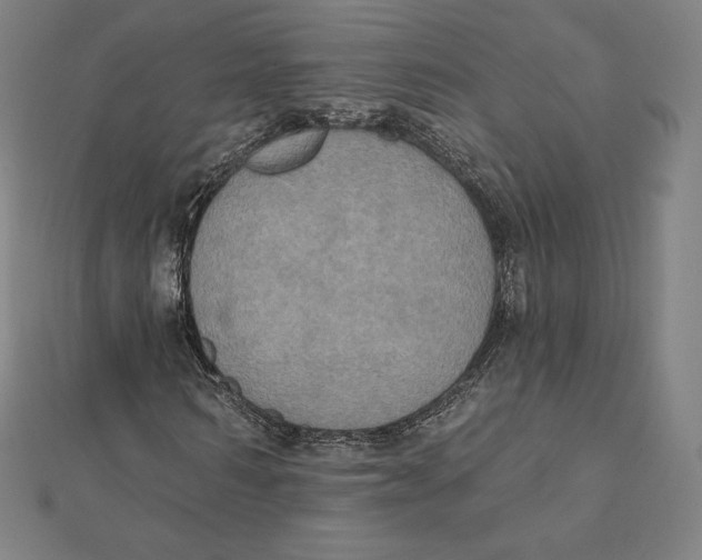 X0000112030962200908311212