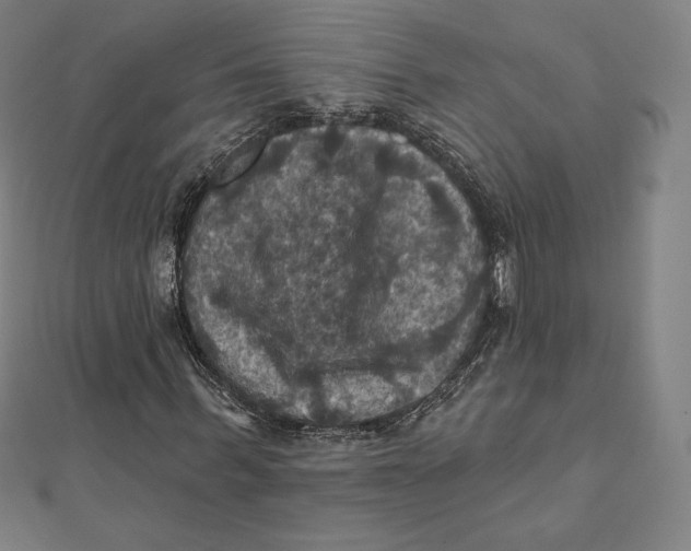 X0000112030963200908311212