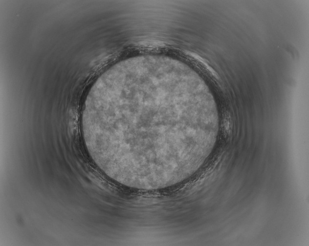 X0000112030964200908311212