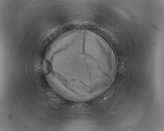X0000112030966200908311212