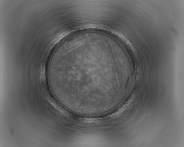 X0000112030969200908311212