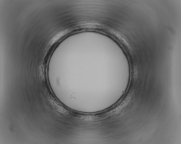 X0000112030970200908311212