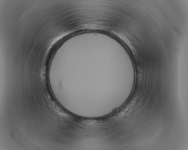 X0000112030971200908311212