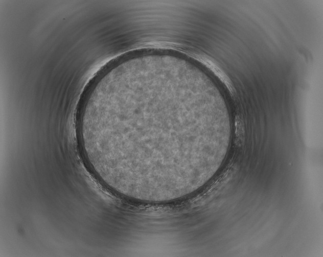 X0000112030972200908311212