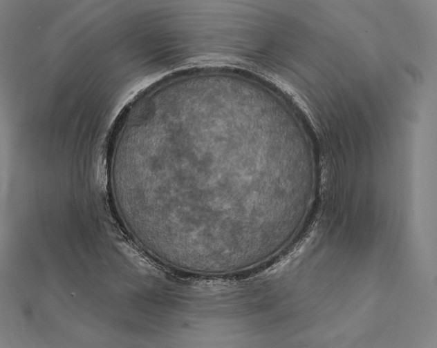 X0000112030973200908311212