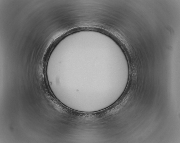 X0000112030974200908311212