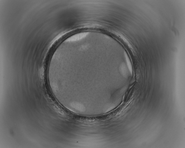 X0000112030975200908311212