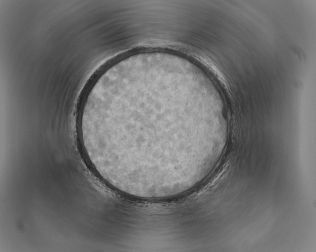 X0000112030976200908311212