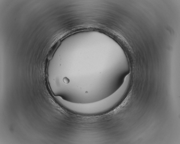 X0000112030977200908311212