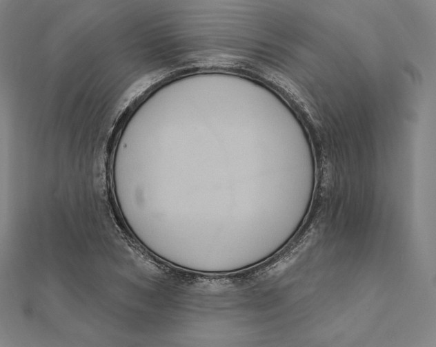 X0000112030978200908311212