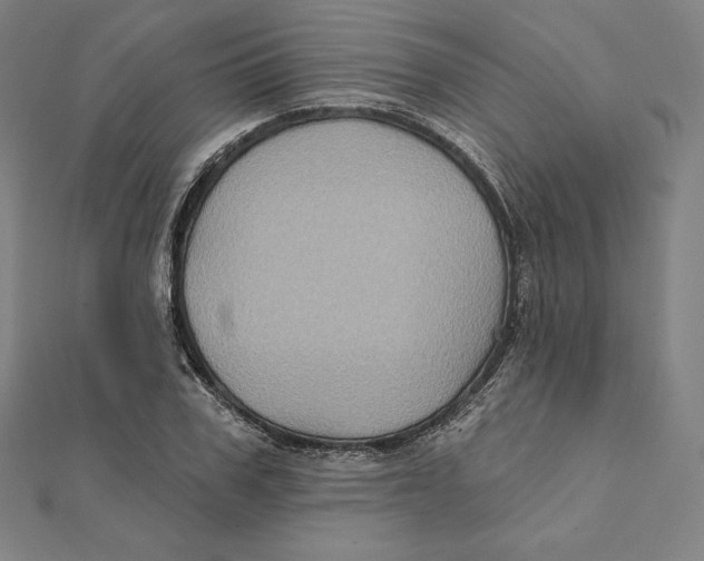 X0000112030979200908311212