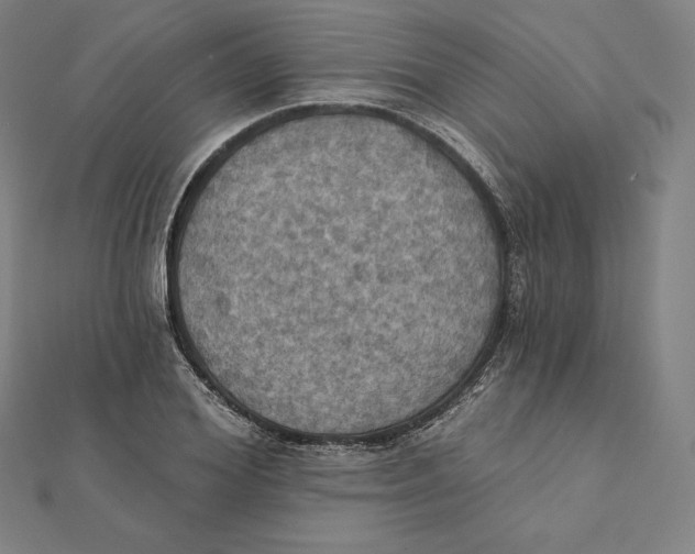 X0000112030980200908311212