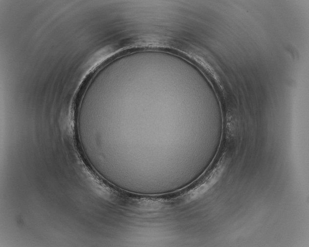 X0000112030981200908311212