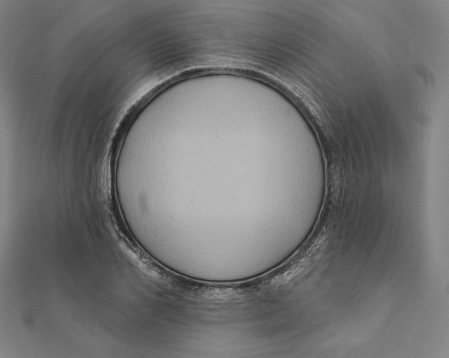 X0000112030982200908311212