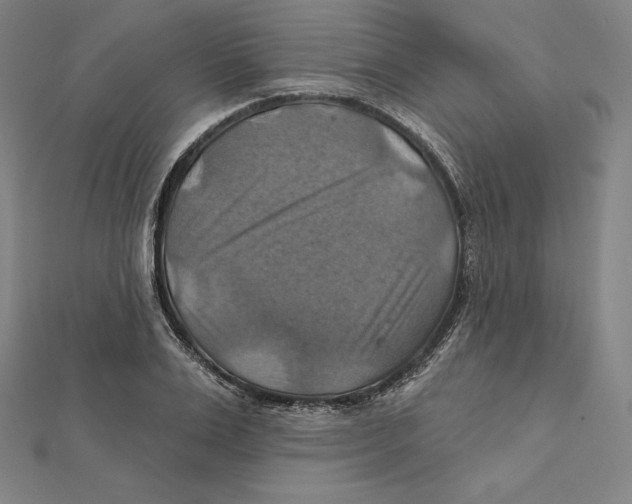 X0000112030983200908311212