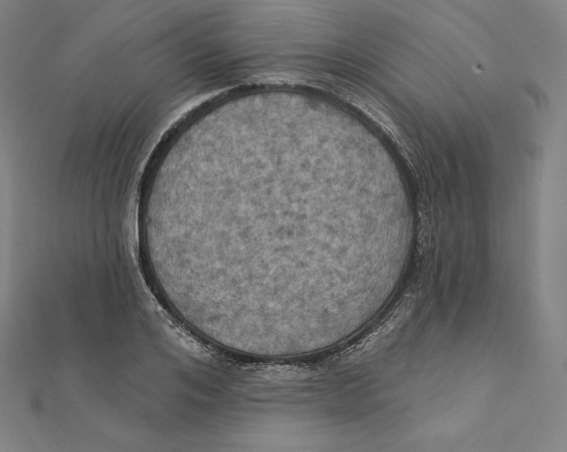 X0000112030984200908311212