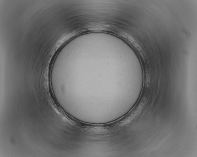 X0000112030986200908311212