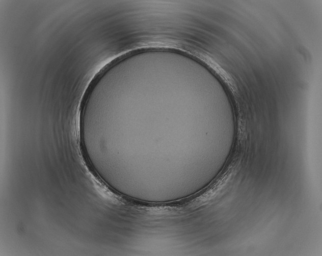 X0000112030988200908311212