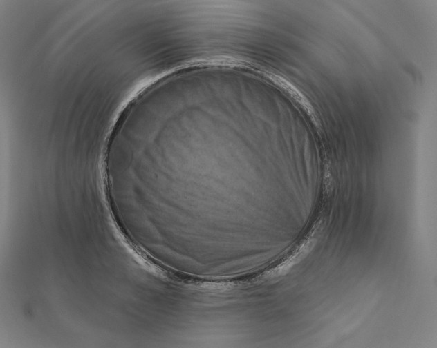 X0000112030989200908311212