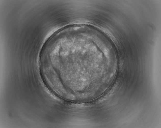 X0000112030990200908311212