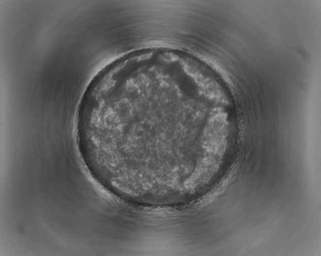 X0000112030991200908311212