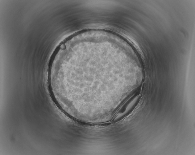 X0000112030992200908311212