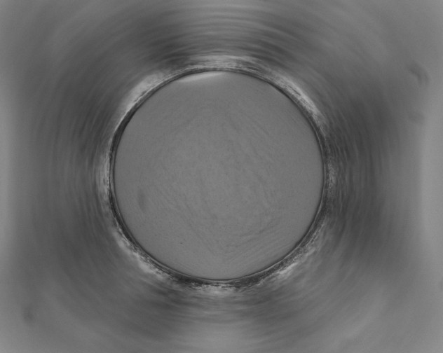 X0000112030994200908311212
