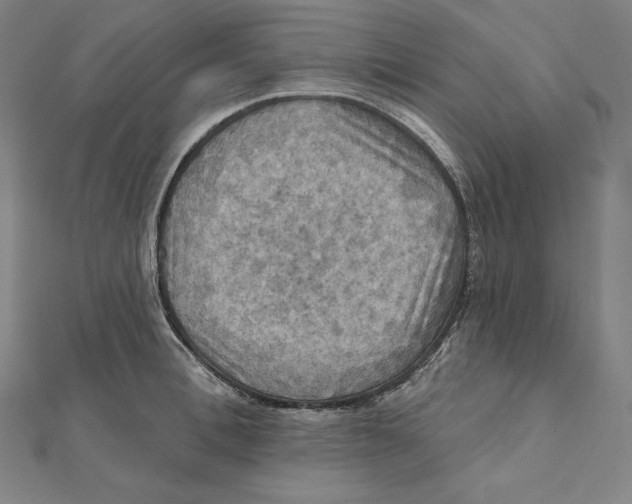 X0000112030996200908311212