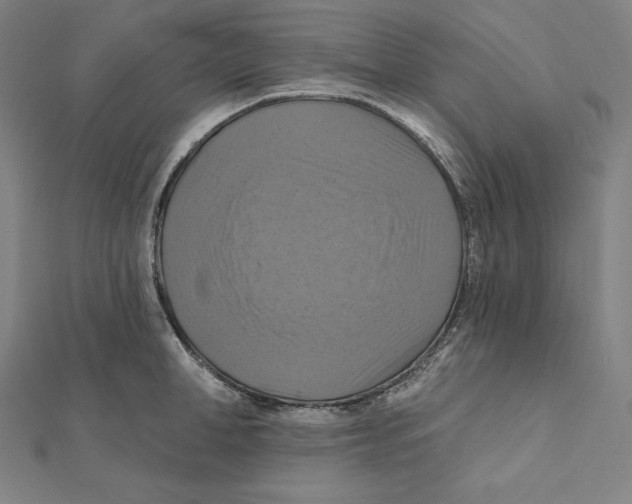 X0000112030998200908311212