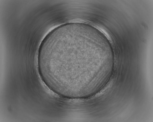 X0000112031000200908311212