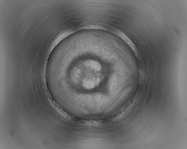 X0000112031002200908311211