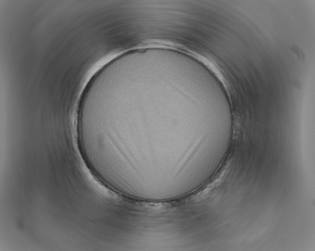 X0000112031003200908311211