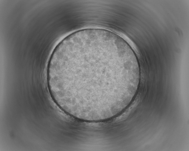 X0000112031004200908311211