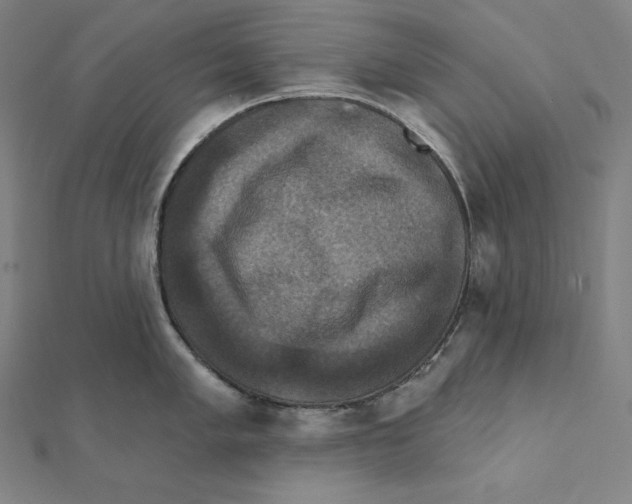 X0000112031005200908311211