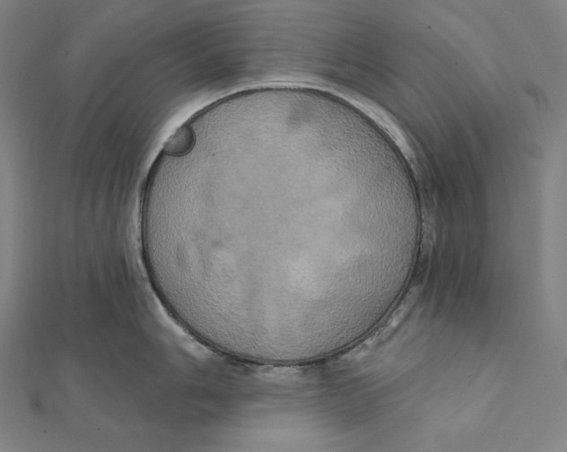 X0000112031006200908311211