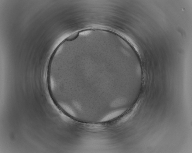 X0000112031007200908311211