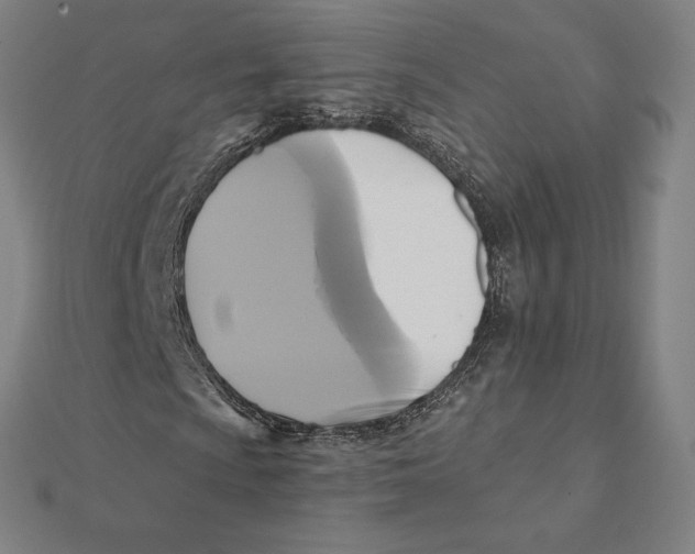 X0000112031009200908311211
