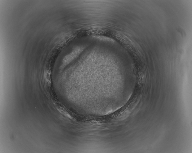 X0000112031010200908311211