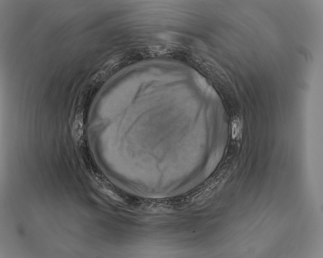 X0000112031011200908311211