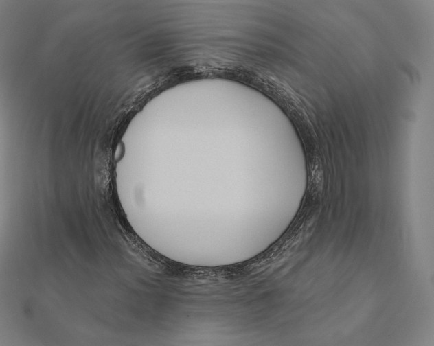 X0000112031012200908311211