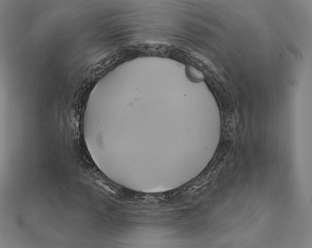 X0000112031013200908311211